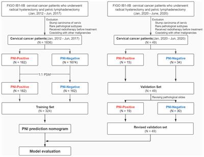 Preoperative Evaluation of Perineural Invasion in Cervical Cancer: Development and Independent Validation of a Novel Predictive Nomogram